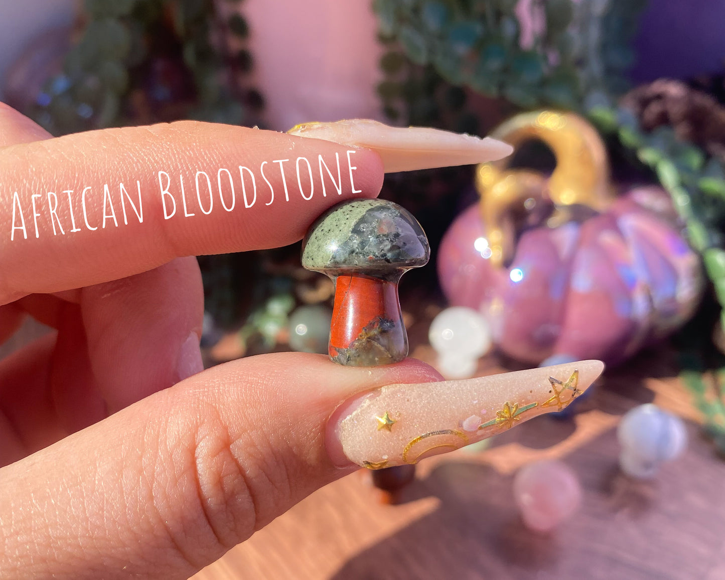 Mini Mushroom Carvings