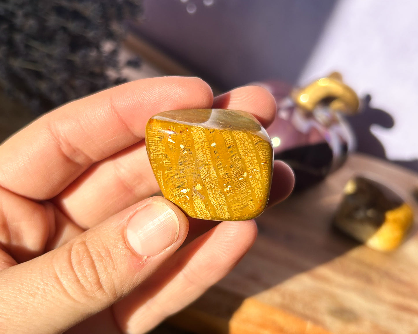 Fossilized Coral Tumble