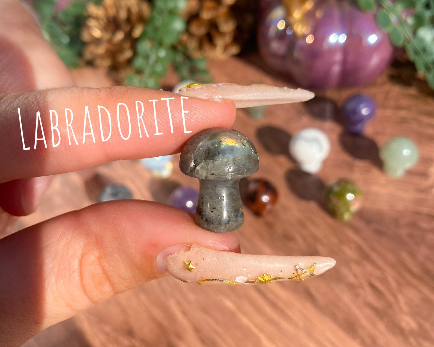 Mini Mushroom Carvings