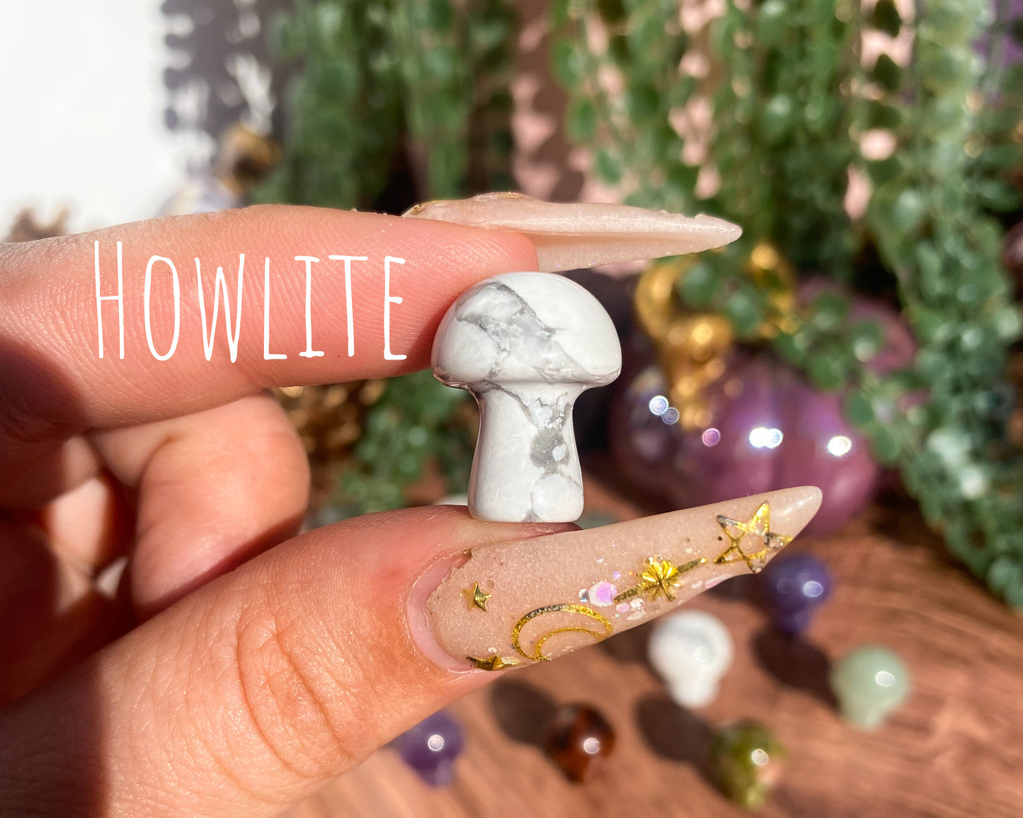 Mini Mushroom Carvings