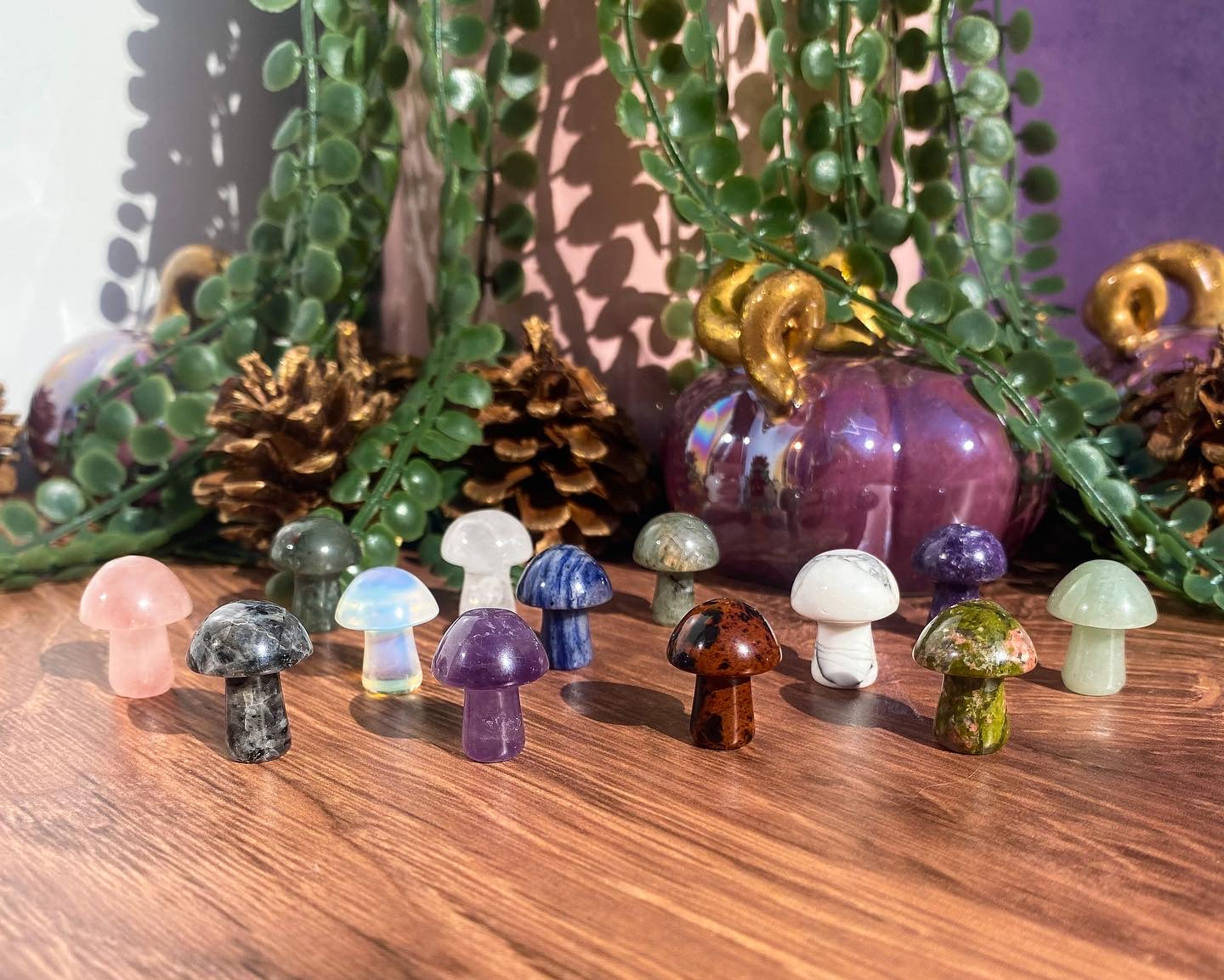Mini Mushroom Carvings