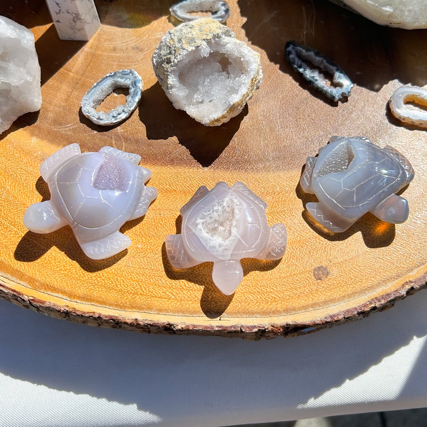 Agate Sea Turtle Carving
