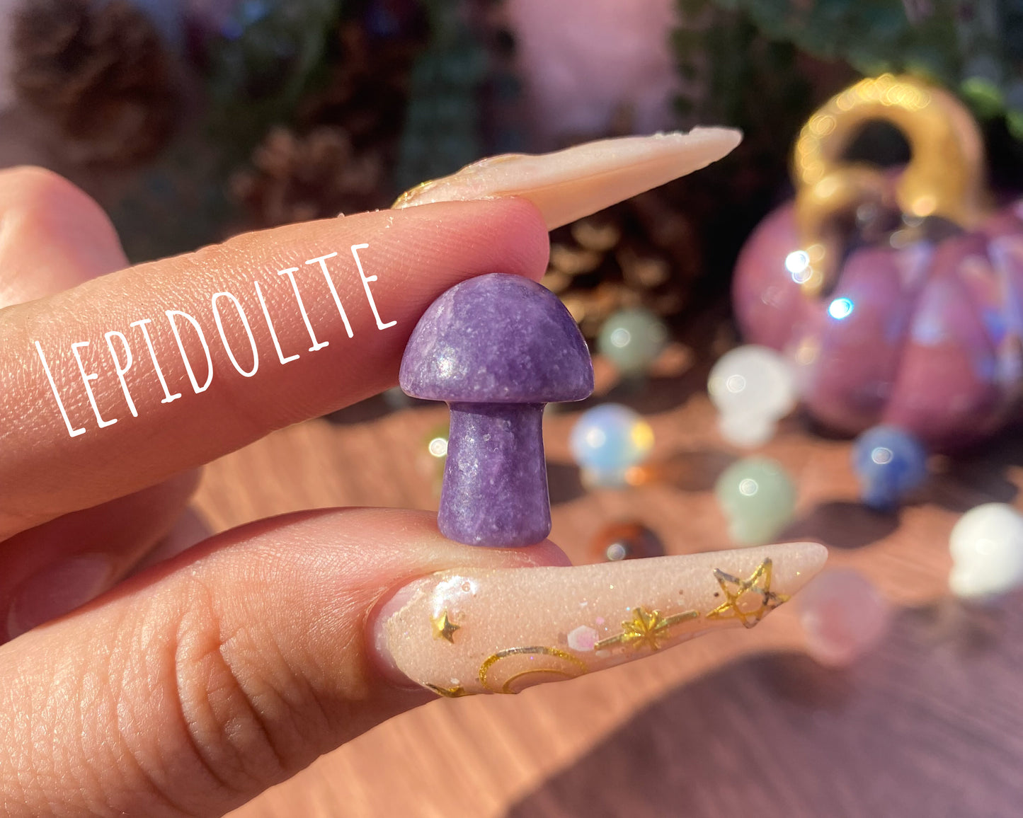 Mini Mushroom Carvings