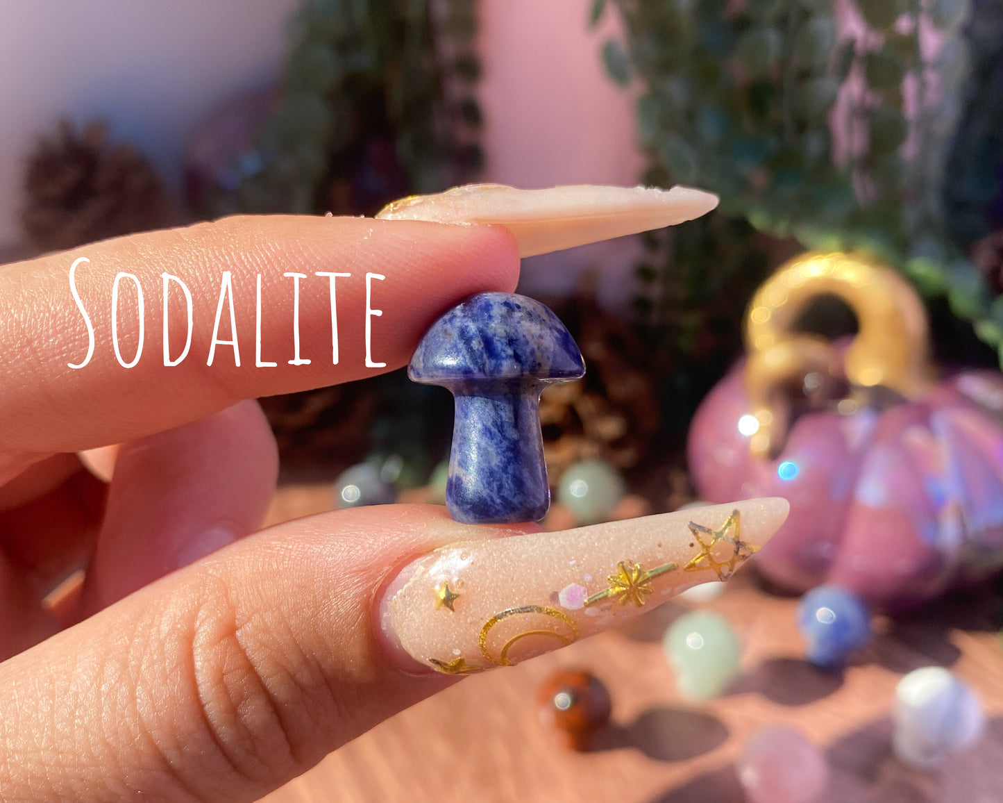 Mini Mushroom Carvings