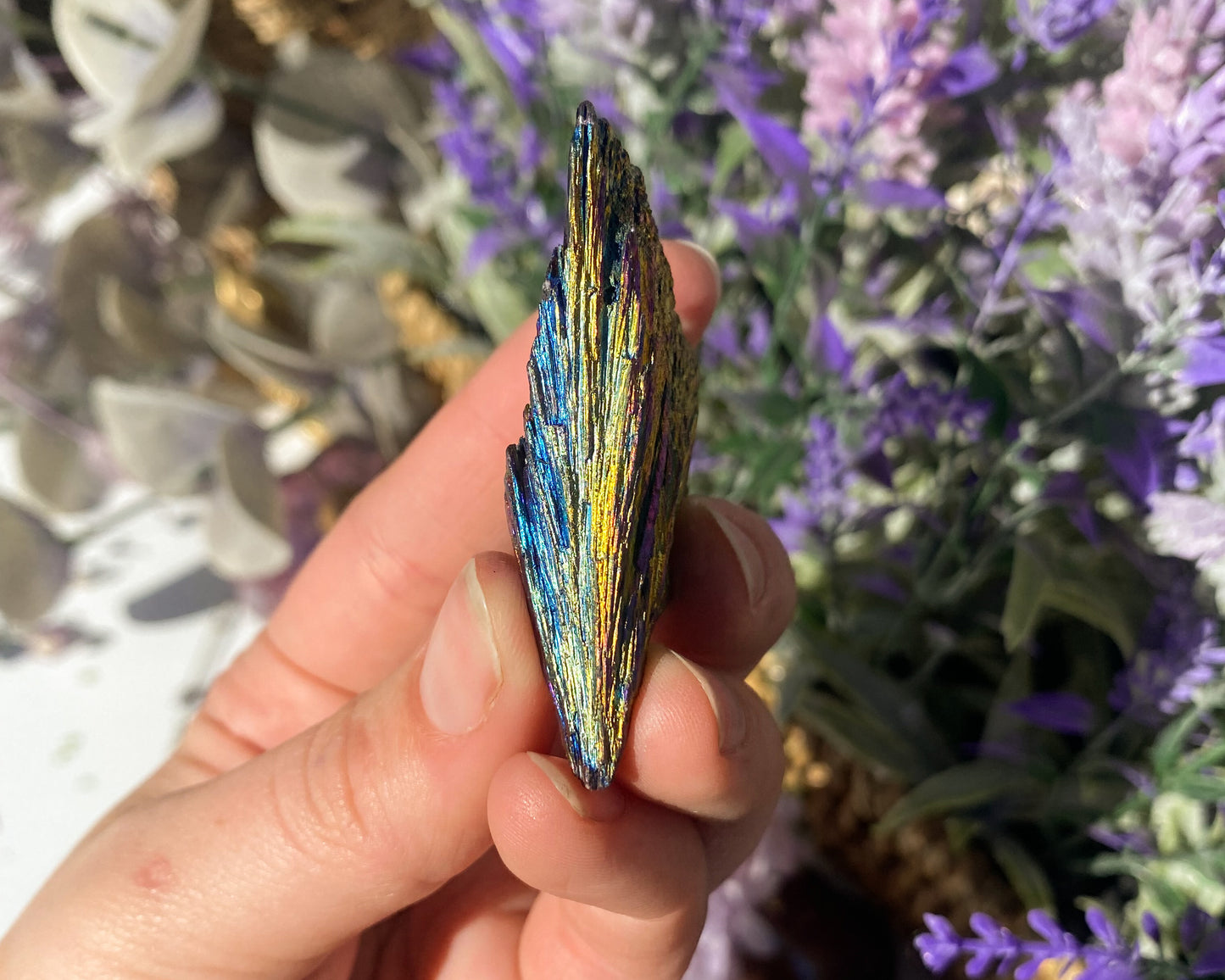 Titanium Coated Black Kyanite Blade Cluster