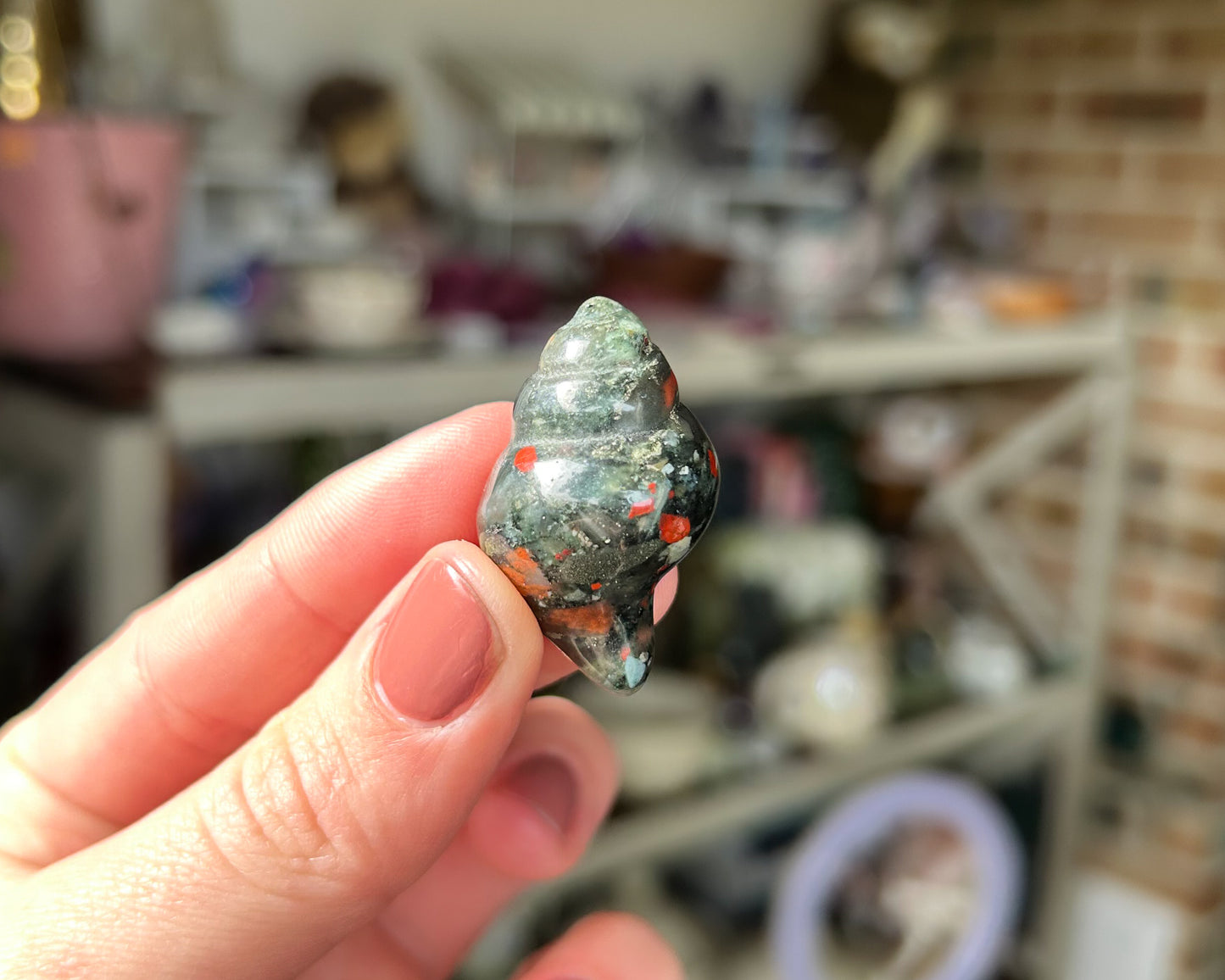 African Bloodstone Seashell