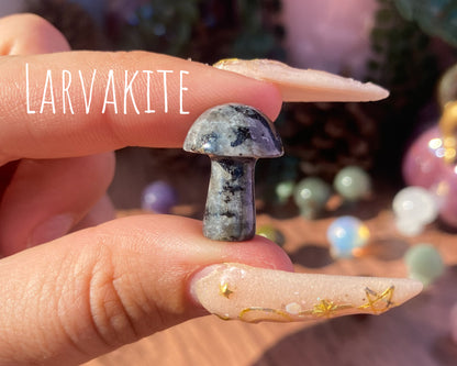 Mini Mushroom Carvings
