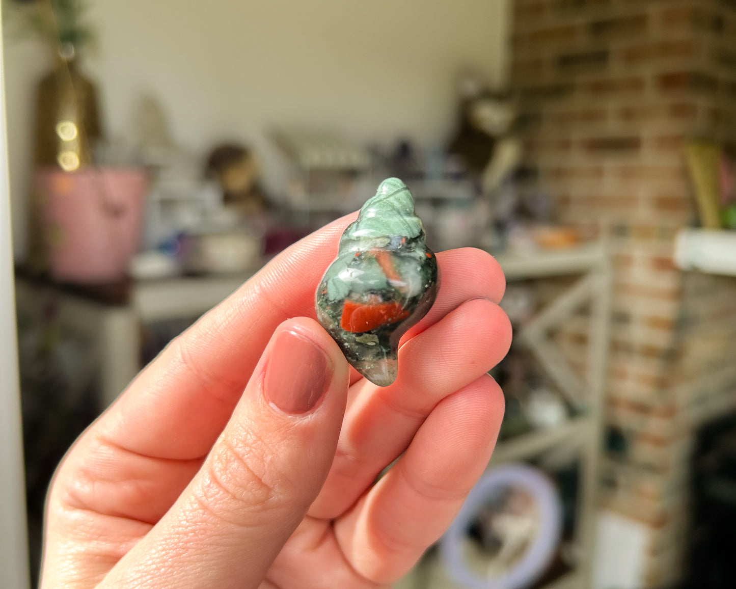 African Bloodstone Seashell