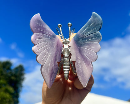 Dreamy Fluorite Butterfly Carving Stand