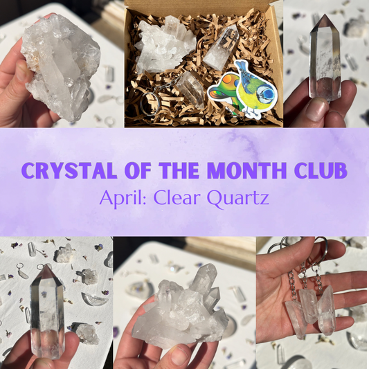 The "Crystal of the Month Club" Box