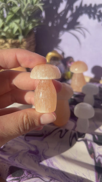 Small Peach Selenite Mushroom Carving
