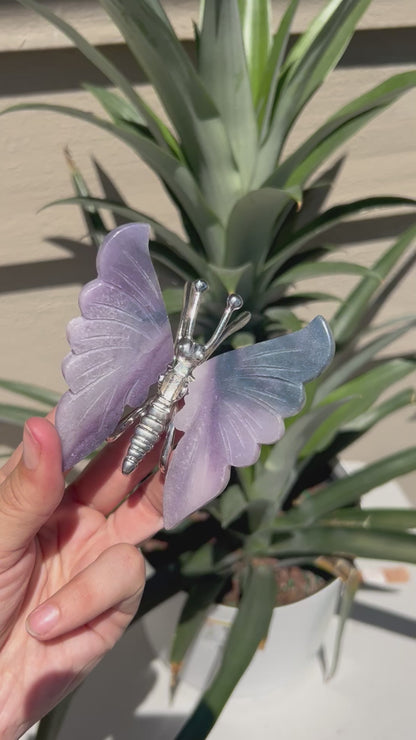 Dreamy Fluorite Butterfly Carving Stand