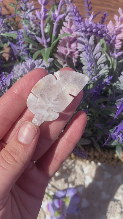 Flower Agate Feather