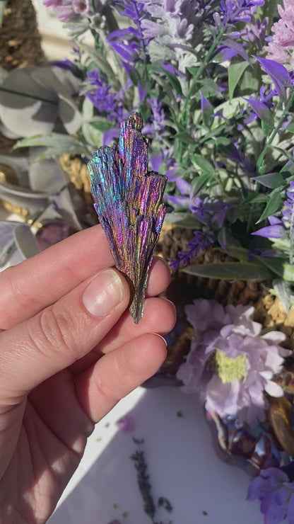 Titanium Coated Black Kyanite Blade Cluster