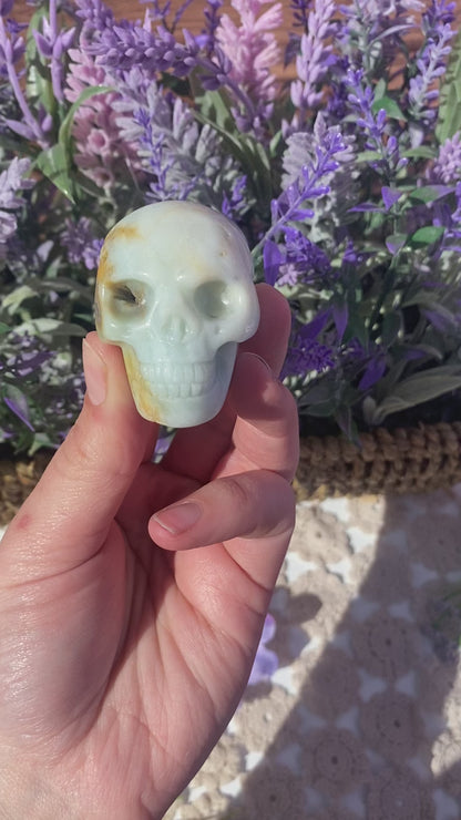 Caribbean Calcite Skull
