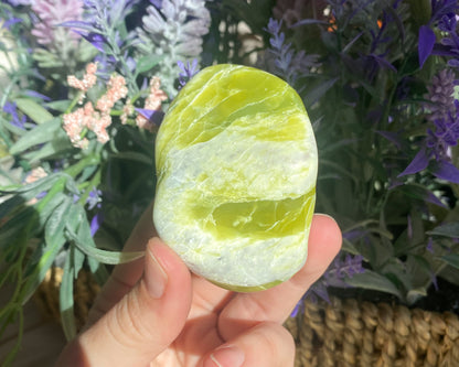 Noble Serpentine Palm Stone