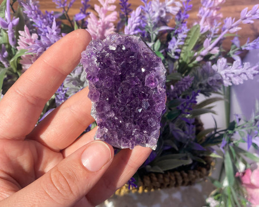 Small Extra Quality Amethyst Cluster