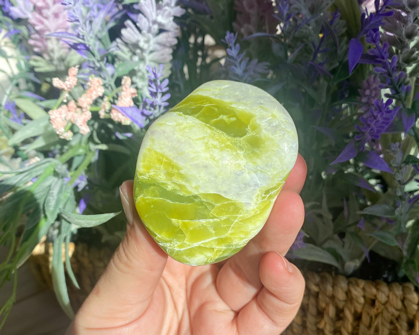 Noble Serpentine Palm Stone