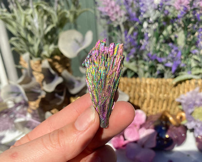 Titanium Coated Black Kyanite Blade Cluster